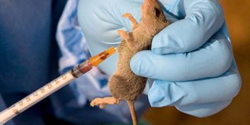 Lassa Fever Outbreak