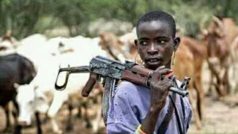 Fulani herdsman with AK47