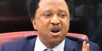 Shehu Sani