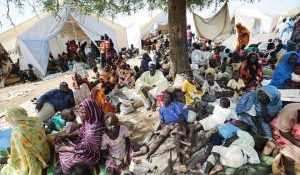 Cameroonian refugees in Nigeria