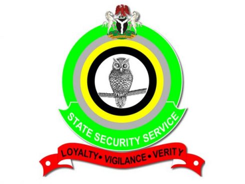 DSS Logo