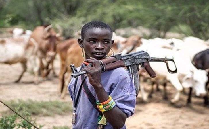 Fulani herdsmen attack
