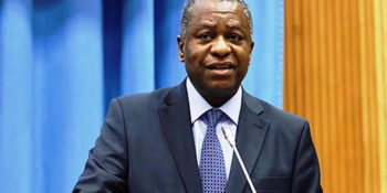 Minister of Foreign Affairs, Geoffrey Onyeama