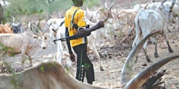 Fulani herdsmen