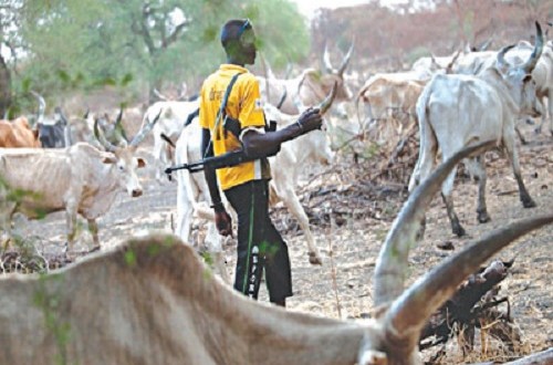 Fulani herdsmen