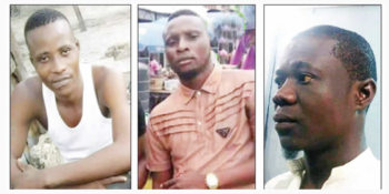 Slain cultists and hoodlums in Apapa-Iganmu LCDA, Lagos