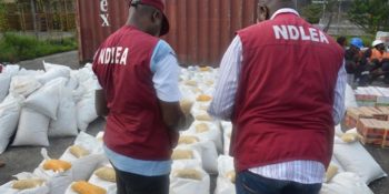 National Drug Law Enforcement Agency (NDLEA)