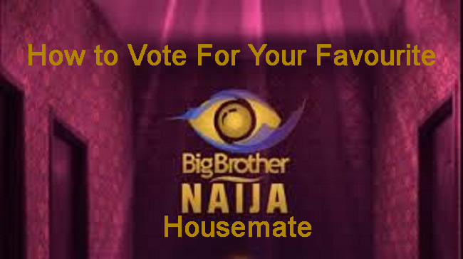 BBNaija Season 5: How To Vote For Your Favourite Housemate