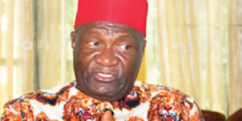 Chief Nnia Nwodo