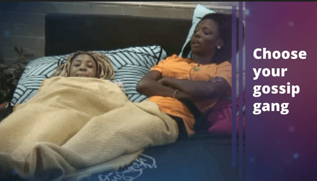 BBNaija 2020 Day Update 31: Choose your gossip gang