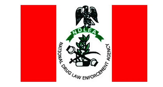 National Drug Law Enforcement Agency (NDLEA)