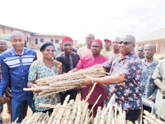 A member of Anambra State House of Assembly, Patrick Obalum Udoba, distributed bundles of cassava stems to his constituents