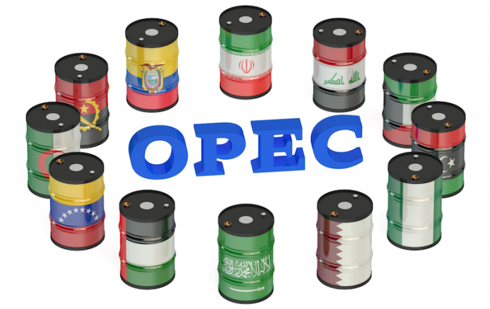 Organisation of the Petroleum Exporting Countries (OPEC)