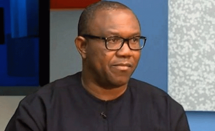 The vice-presidential candidate of the Peoples Democratic Party (PDP) in 2019 general election, Mr. Peter Obi