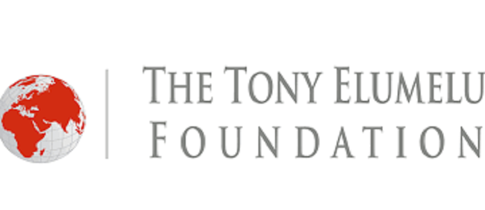 The Tony Elumelu Foundation