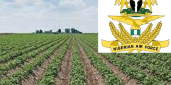 The Nigerian Air Force (NAF) on Tuesday launched a 2000-hectare farm project in Makurdi to create job opportunities for over 500 people.