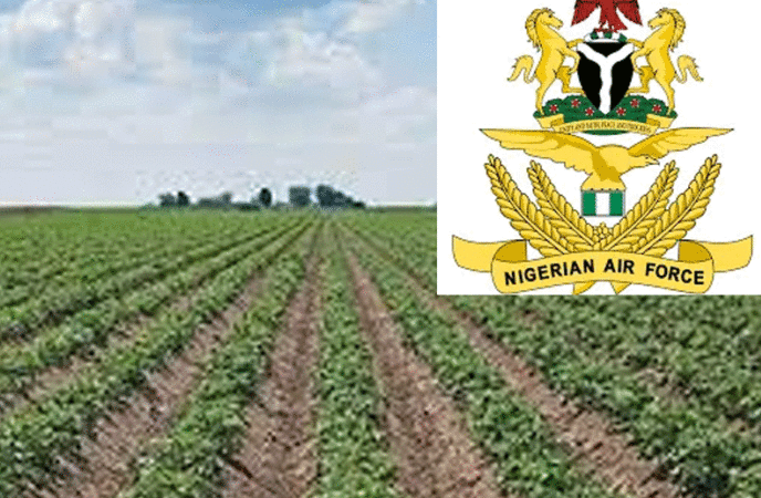 The Nigerian Air Force (NAF) on Tuesday launched a 2000-hectare farm project in Makurdi to create job opportunities for over 500 people.