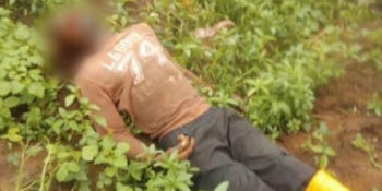 Benue Farmer Killed By Suspected Fulani Herdsmen In Oyo