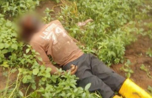 Benue Farmer Killed By Suspected Fulani Herdsmen In Oyo