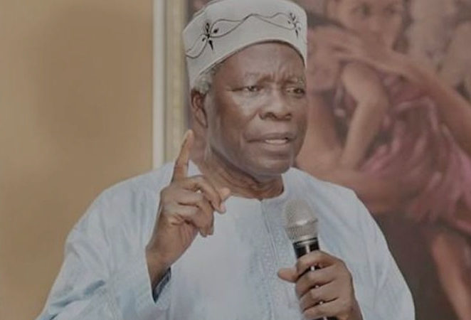 Emeritus Prof. Banji Akintoye