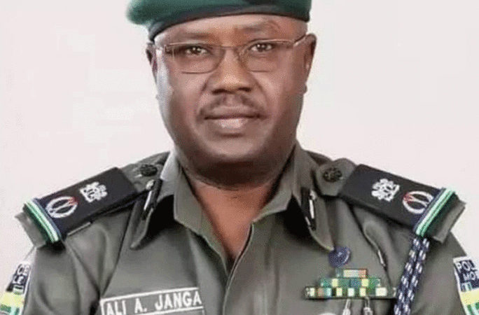 Assistant Inspector General (AIG) of Police Zone 10, Ali Aji Janga