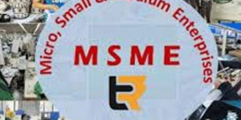 Micro, Small and Medium Enterprises (MSMEs)