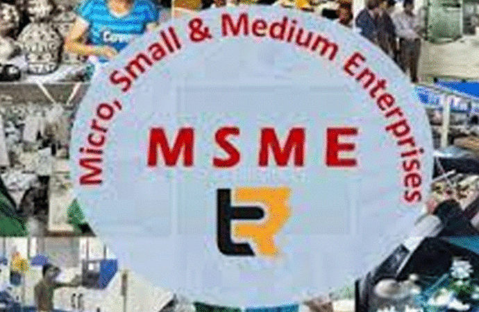 Micro, Small and Medium Enterprises (MSMEs)