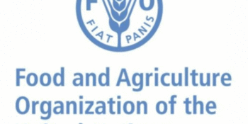 Food and Agricultural Organisation (FAO)