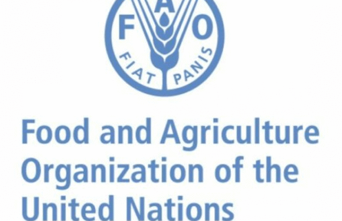 Food and Agricultural Organisation (FAO)